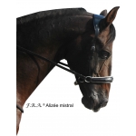 Alizee Mistral Side Pull Bitless Bridle And Reins